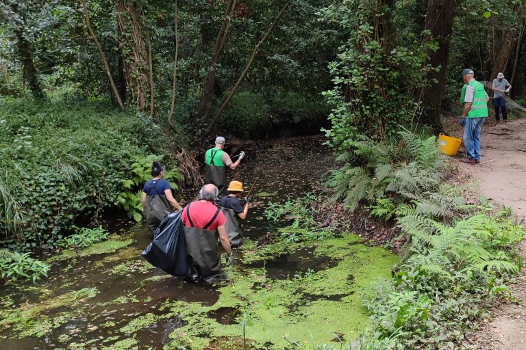 Voluntarios retiran 230 kilos de residuos en la primera jornada de limpieza del Gafos en Pontevedra