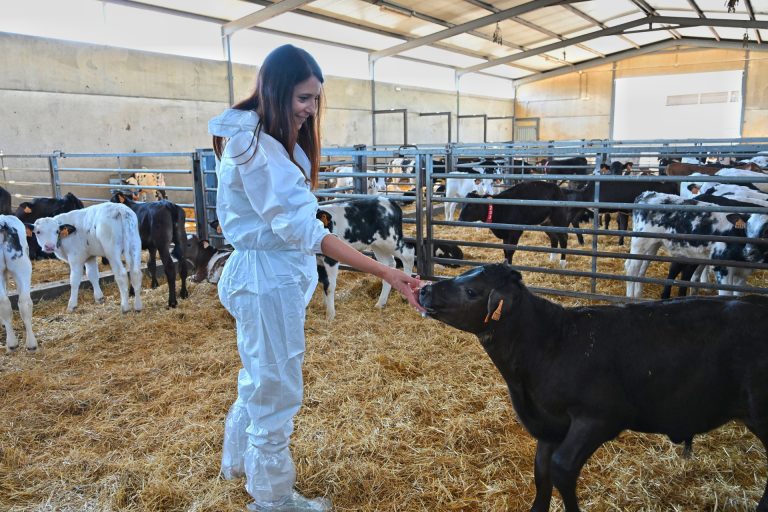 Rural.- La Xunta reclama al Gobierno que actúe «de forma contundente» para que se cumpla la ley de la cadena alimentaria