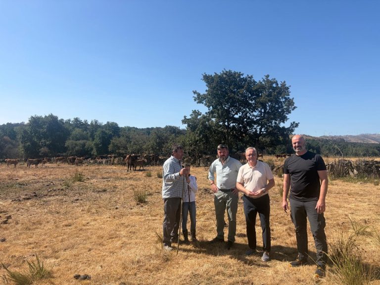 Rural.- Medio Rural apuesta por la recría de razas autóctonas con una línea de ayudas específica