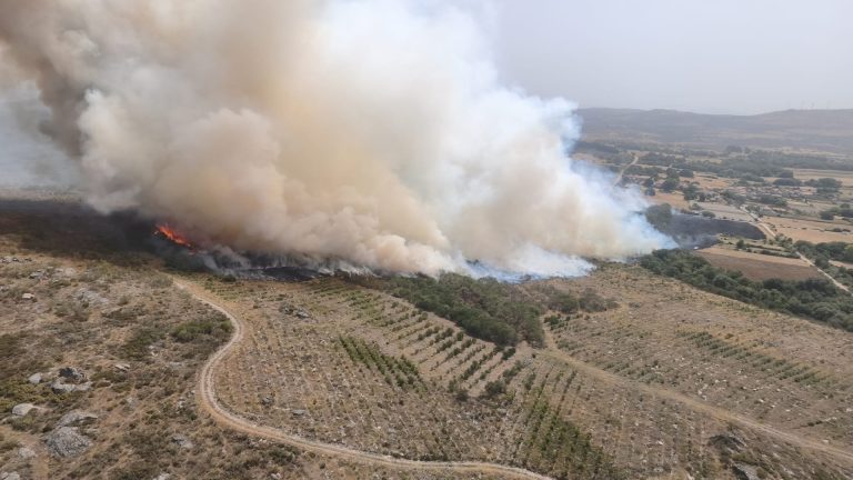 Rural.- Estabilizado el incendio forestal de Baltar (Ourense), que calcina 120 hectáreas desde su inicio el sábado