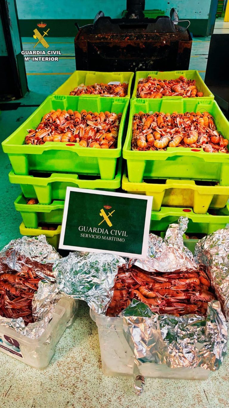 Sucesos.- Intervenidos 146 kilos de cigala sin trazabilidad en un vehículo que partió del puerto de Cariño (A Coruña)