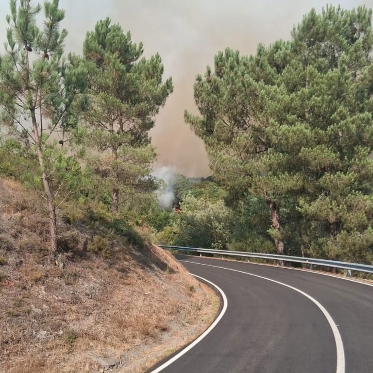 Rural.- Estabilizado el incendio forestal de Taboada (Lugo), que calcina 30 hectáreas