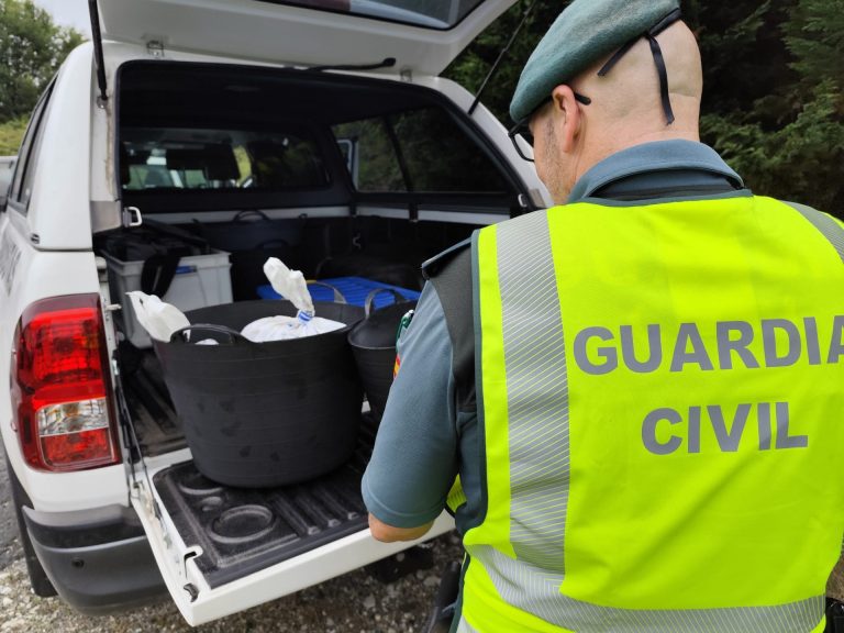 Sucesos.- Decomisan 28 kilos de pulpo congelado en A Mariña por carecer de trazabilidad