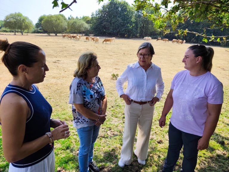 Rural.- El PPdeG insta al Gobierno a remitir a Bruselas el informe aprobado por autonomías sobre la gestión del lobo