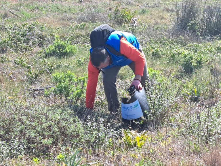 Recogidas 163 toneladas de basura marina en Galicia con el plan de conservación de Afundación