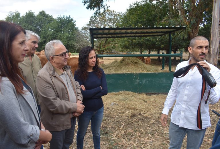 Rural.- Xunta valora el proyecto de vallado virtual de vacuno en Muíños para fomentar desbroce natural y prevenir fuegos