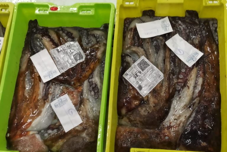 A Coruña promueve rutas marineras para potenciar la tradición pesquera a través de la lonja y los mercados
