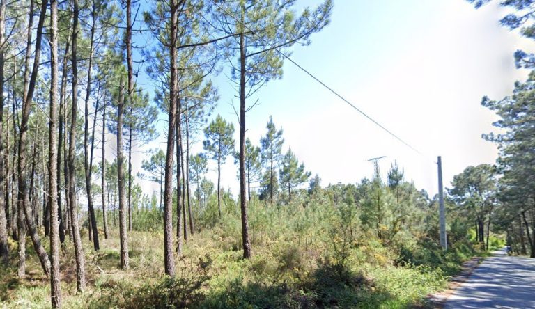 Subastan terrenos heredados por la Asociación Contra el Cáncer en O Grove y Moaña (Pontevedra) para recaudar fondos