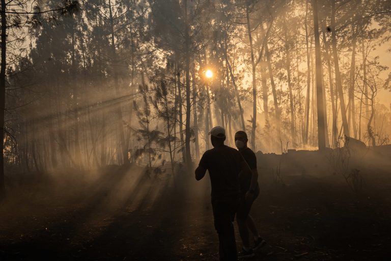 Rural.- La Xunta destina más de dos millones de euros a trabajos de prevención de incendios forestales en A Coruña