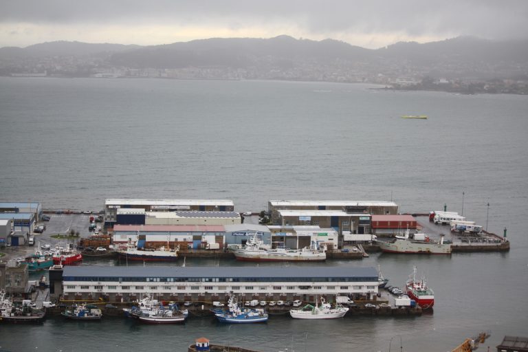 Pesca.- Malvinas decreta el cierre inmediato de la campaña del calamar en la que faenan 16 arrastreros gallegos