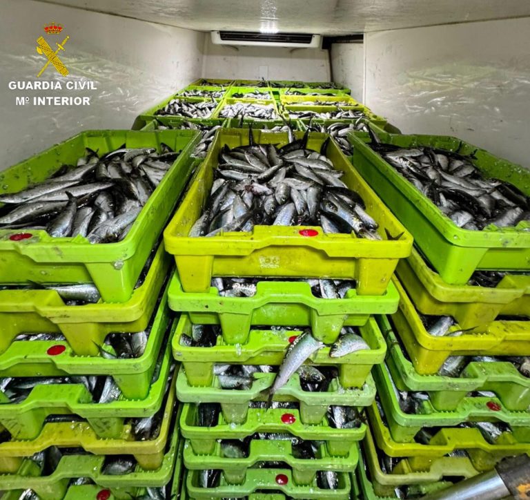 Intervenidos más de 2.500 kilos de sardina en el puerto de Cangas