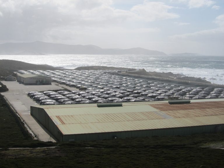 Pesca.- La Xunta aboga por diversificar producción en acuicultura y la oposición urge seguridad ante «grandes empresas»