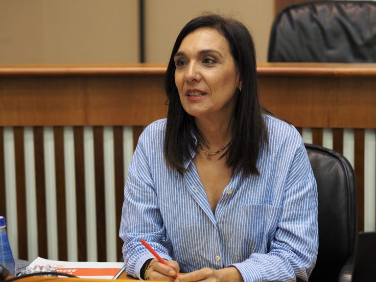 El PSdeG ve como «un insulto» que Xunta dé «apenas un mendrugo de pan y unas lonchas de chorizo» a los brigadistas