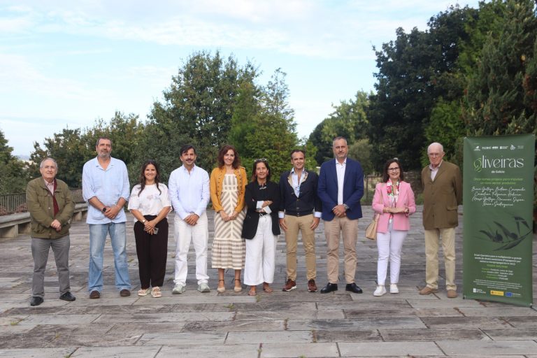 Rural.- Una investigación de 3 años arroja resultados positivos para la recuperación de variedades autóctonas de olivo