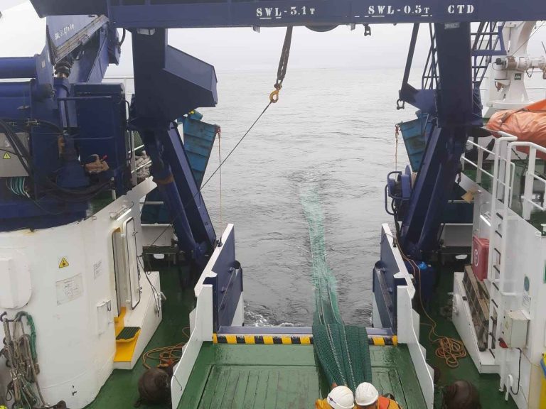 Pesca.- Investigadores españoles y portugueses evaluarán la abundancia de juveniles de sardina en aguas atlánticas