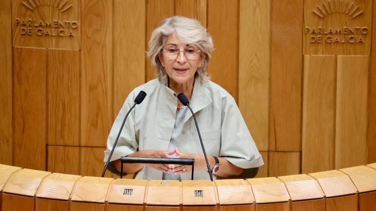 El PSdeG exige a la Xunta «sustituir de inmediato» al profesor que «falta» en un colegio de Melide