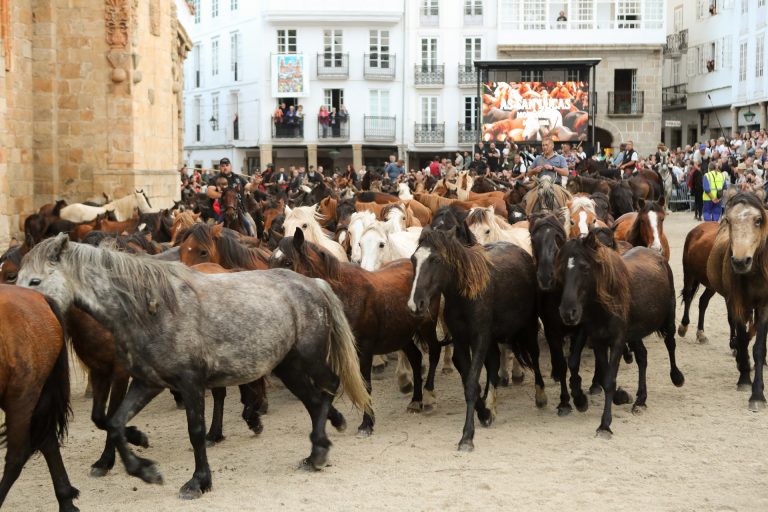 Turismo.- Turismo de Galicia apoya la declaración de As San Lucas de Mondoñedo como Fiesta de Interés Turístico Nacional
