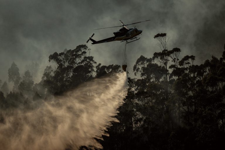Novedades en franjas antincendios: 100 metros solo con Situación 2 previa, más distancia con vías y sin eucaliptos