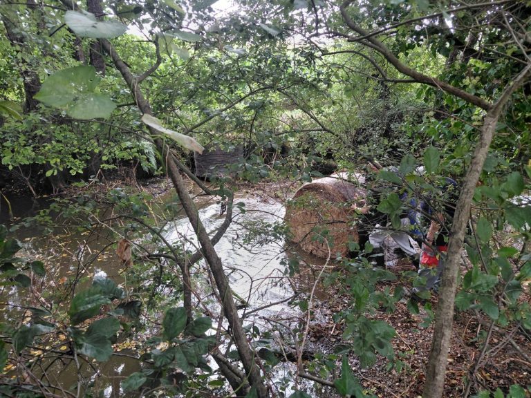 La Xunta reclama que el Ayuntamiento de Santiago informe sobre su capacidad de tratamiento de agua a raíz del vertido