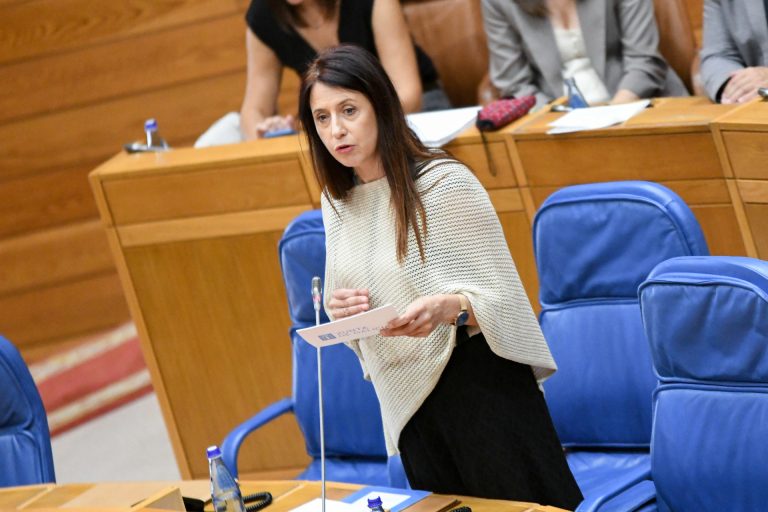 Pleno.- Medio Rural defiende que la moratoria para nuevas granjas en A Limia es «provisional, temporal y localizada»