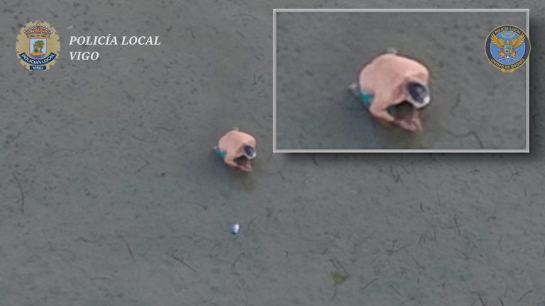 Pesca.- Denunciados en Vigo dos buzos por pescar pulpo de peso inferior al permitido y un ‘furtivo’ por extraer bivalbos