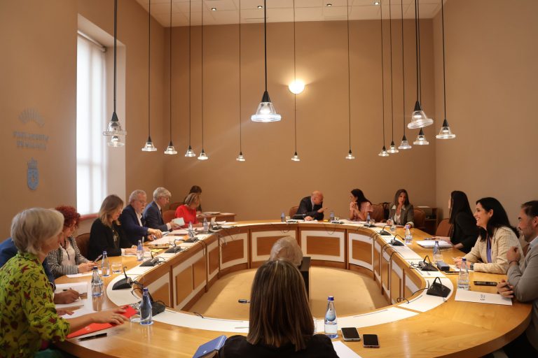 AV.- La actualización del Plan de normalización será aprobada en el próximo pleno de Parlamento